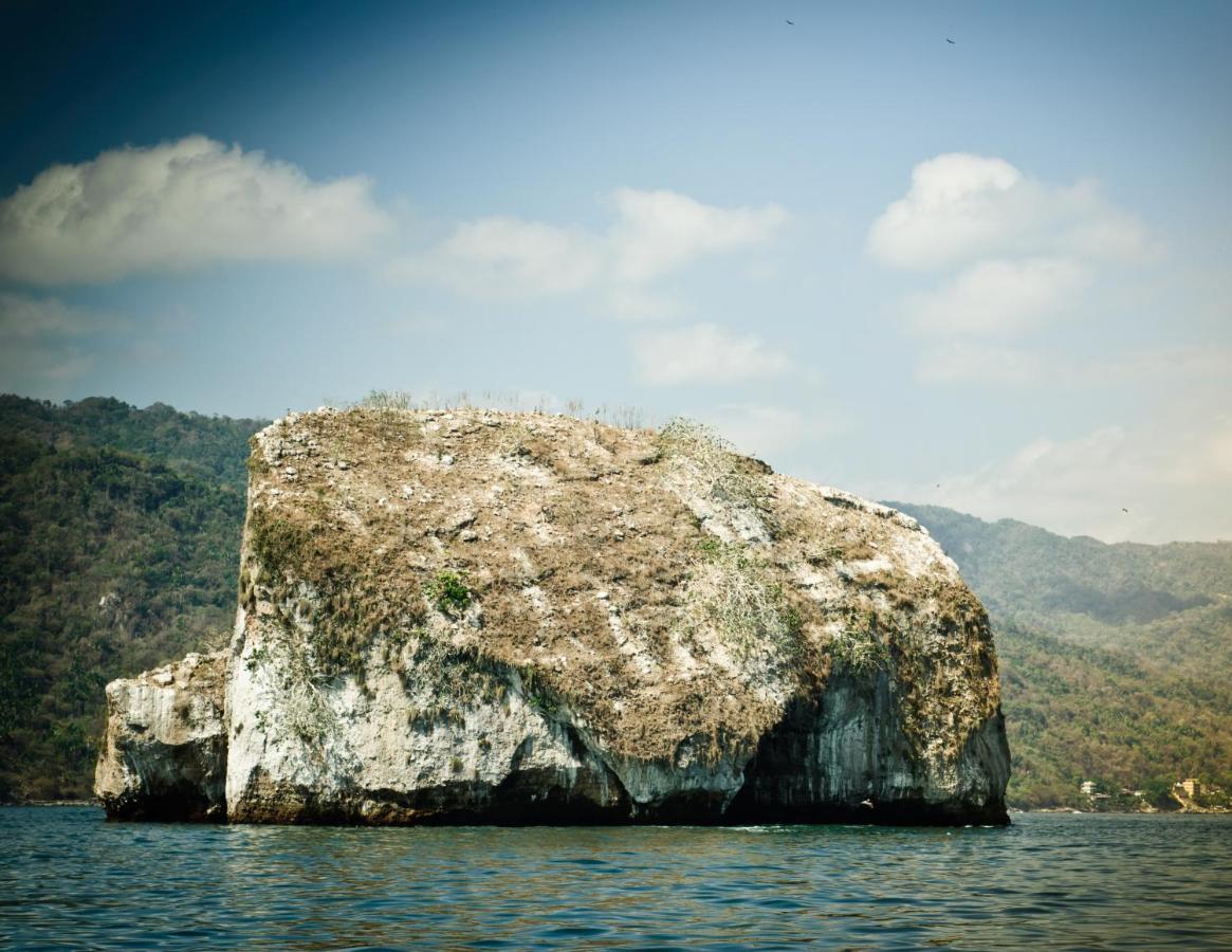 Joint Boutique Hotel Zona Romantica Puerto Vallarta Dış mekan fotoğraf